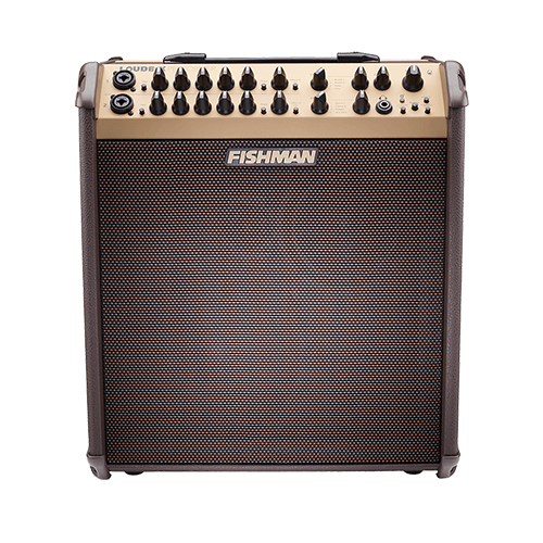 Loudbox Performer
